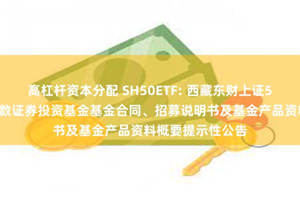 高杠杆资本分配 SH50ETF: 西藏东财上证50交易型开放式指数证券投资基金基金合同、招募说明书及基金产品资料概要提示性公告