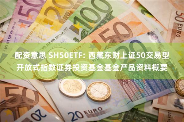 配资意思 SH50ETF: 西藏东财上证50交易型开放式指数证券投资基金基金产品资料概要