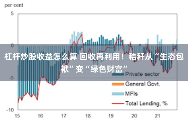 杠杆炒股收益怎么算 回收再利用！秸秆从“生态包袱”变“绿色财富”