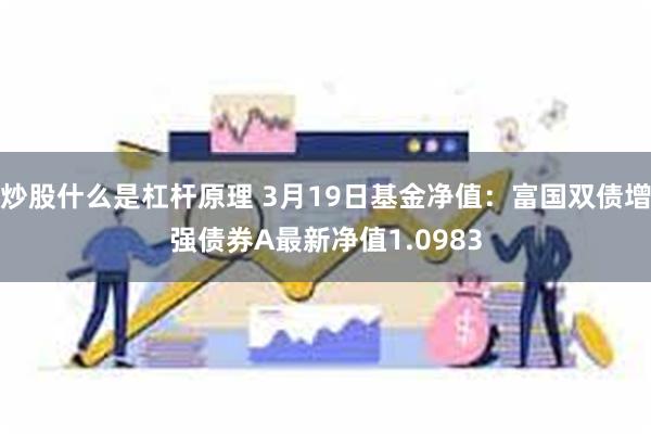 炒股什么是杠杆原理 3月19日基金净值：富国双债增强债券A最新净值1.0983