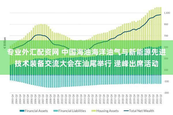 专业外汇配资网 中国海油海洋油气与新能源先进技术装备交流大会在汕尾举行 逯峰出席活动